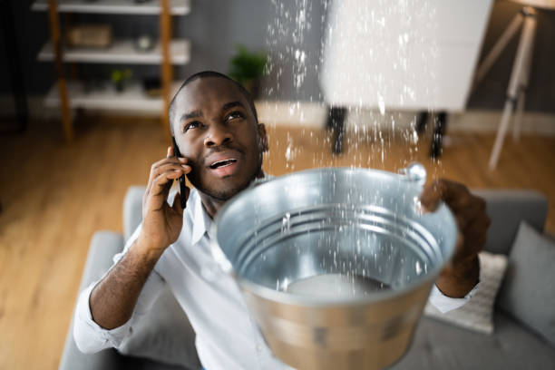 Best Water damage cleanup near me  in East Quogue, NY