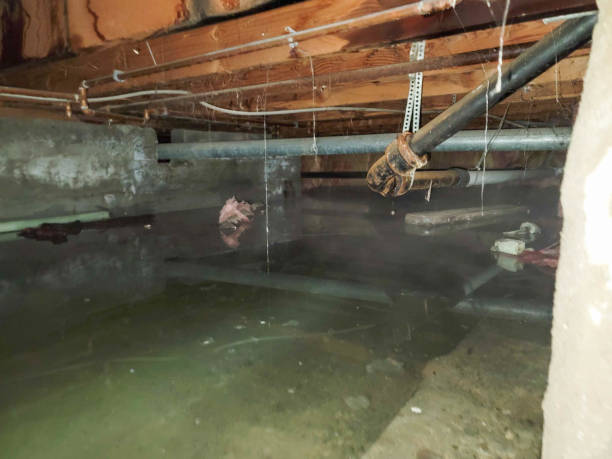 Water damage restoration experts in NY