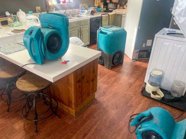Best Basement water damage restoration  in East Quogue, NY