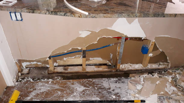Best Mold removal after water damage  in East Quogue, NY