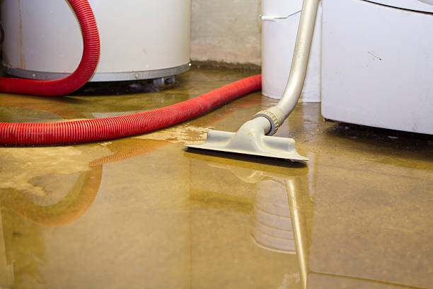 Best Professional water damage repair  in East Quogue, NY