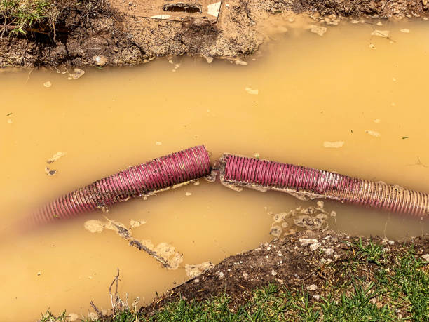 Best Water damage cleanup near me  in East Quogue, NY