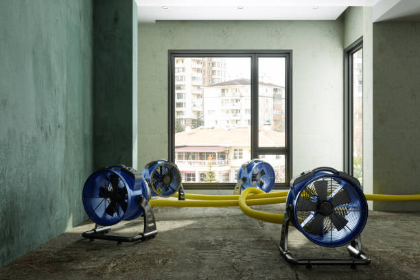 Best Water damage restoration process  in East Quogue, NY